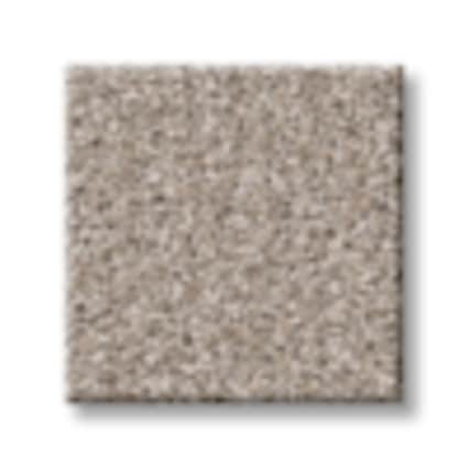 Shaw Shaw Lincoln Square Cracked Pepper Texture Carpet with Pet Plus-SS